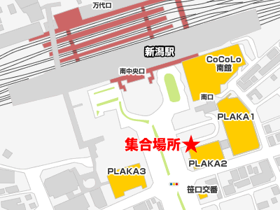 人気 新潟 駅 南口 バス